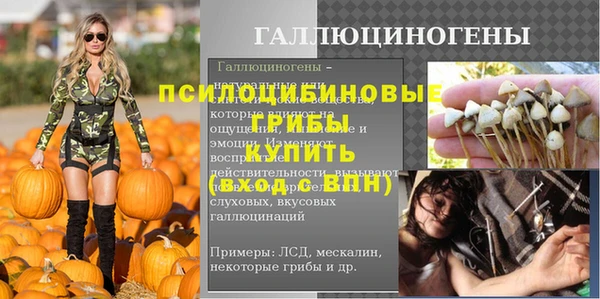 герыч Алексин