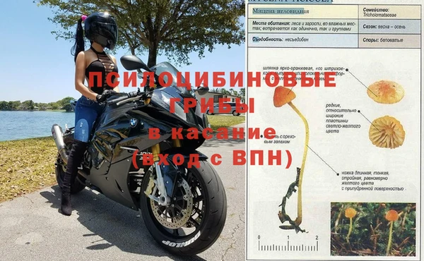 синтетический гашиш Алексеевка